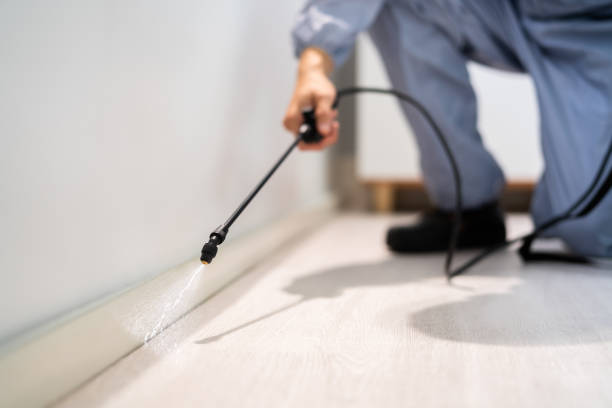 Professional exterminator conducting IPM assessment in Louisville